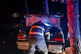 Bilecik'te Otomobil Ağaçla Çarpıştı