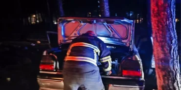 Bilecik'te Otomobil Ağaçla Çarpıştı