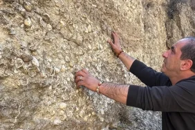 Erzurum'da 200 Milyon Yıllık Fosil Keşifleri