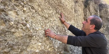 Erzurum'da 200 Milyon Yıllık Fosil Keşifleri