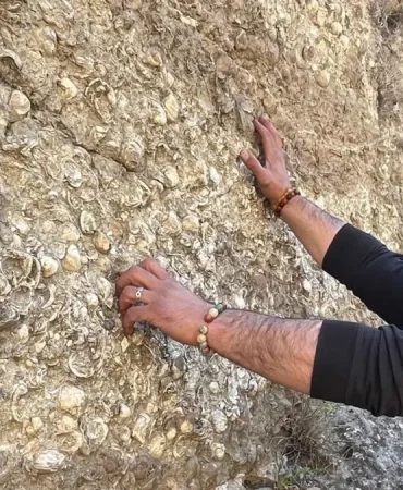 Erzurum'da 200 Milyon Yıllık Fosil Keşifleri