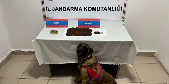 Yozgat'ta Uyuşturucu Operasyonu