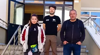 Nallıhan'da Yapay Zeka Destekli Mantar Araştırması Başladı